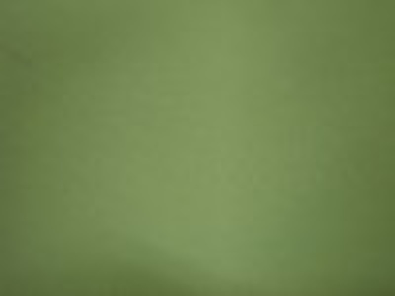 100% nylon taffeta  268T full dull twill 2/2 70D*7