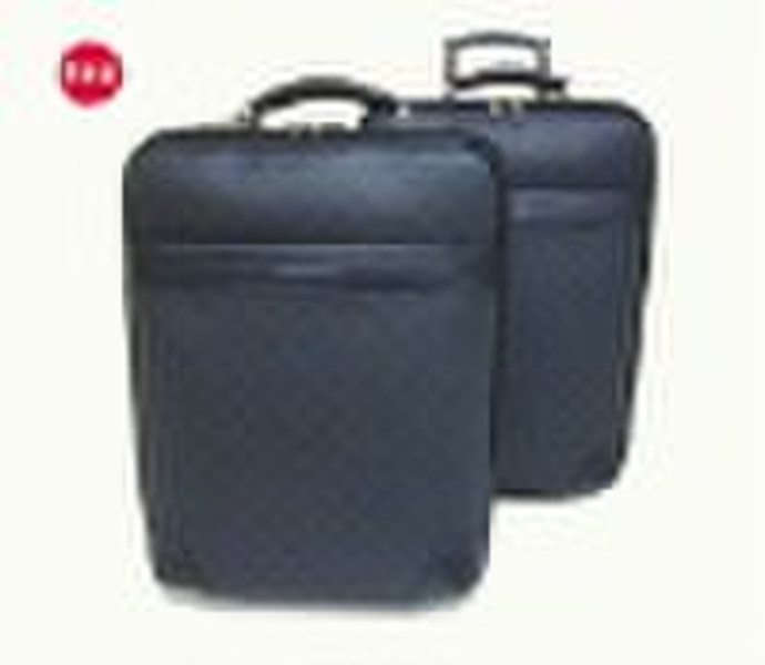 2011 new style leather suitcase