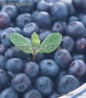 Bilberry extract