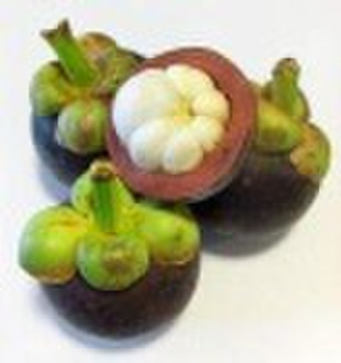 Mangosteen extract