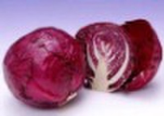 Red Cabbage color p.e.