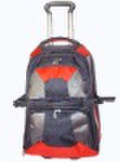 0951T  EVA trolley luggage set