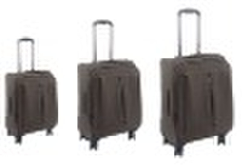 EVA trolley luggage