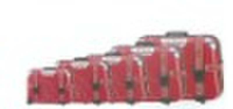 2011 New Abs luggage(DM831)