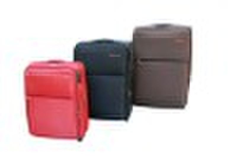 Business Travel luggage