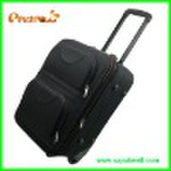 2010 hot sale Suitcases