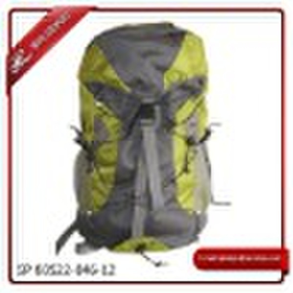 2011 low price fashion backpack(SP80163)