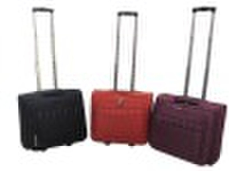 travel case,trolley case