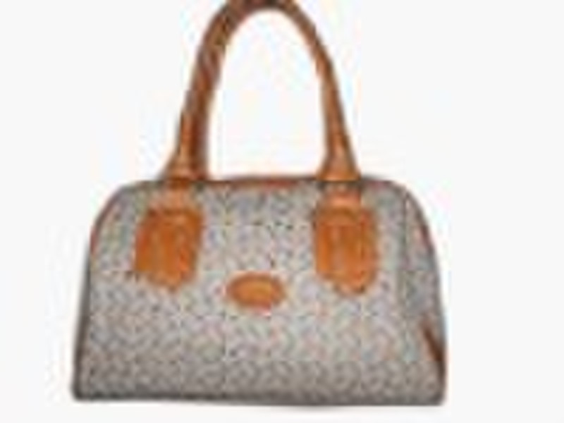 2010 Hot Sell Fashion Ladies' Handbag