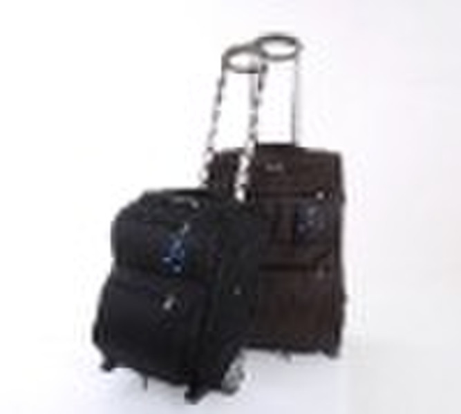 Fashion Luggage Case