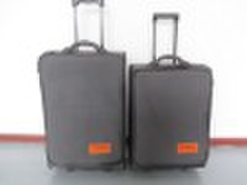 Travel trolley case