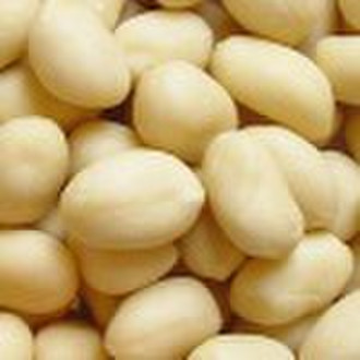 blanched peanut kernel