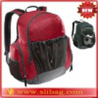 2010 Hot sell luggage trolley bags (stylish)