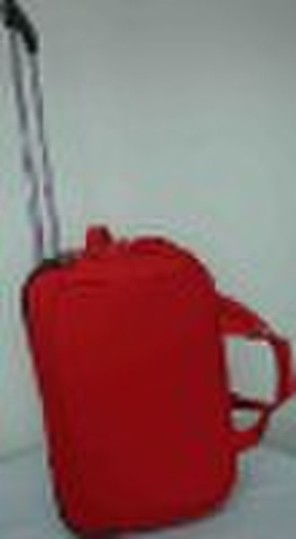 travel trolley bag RW0024T