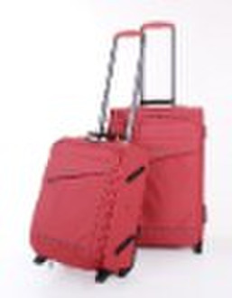 2010 Fashion Luggage bag