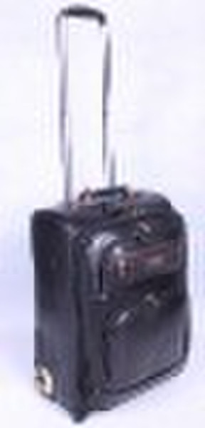 high qulity pu lingshi fashionable luggage/trolley