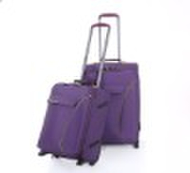 2010 new fashion trolly luggage