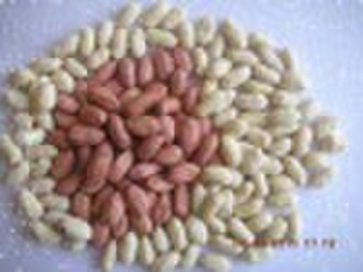 supply long type peanut