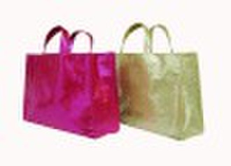 lady shopping bag