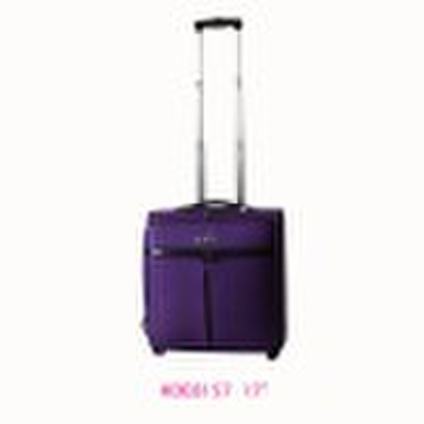 EVA Luggage(travel bag, trolley bag)