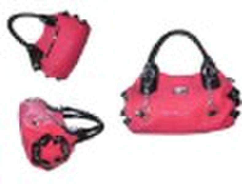 Wholesale Special Style Lady Bag 2010