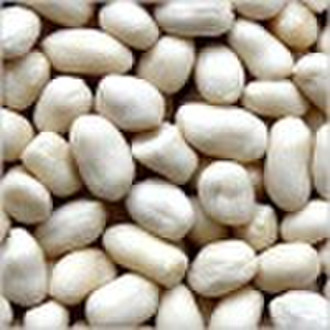 blanched peanut