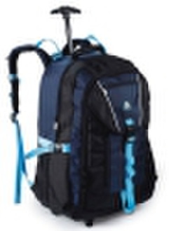 2010 new trolley backpack bag