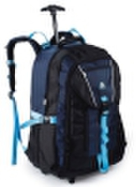 2010 new trolley backpack bag