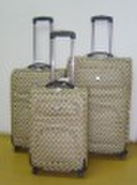 TROLLEY CASE