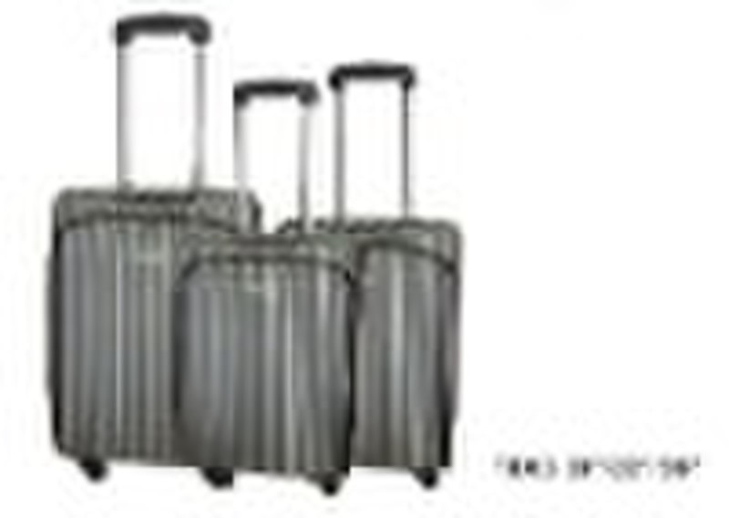 TROLLEY CASE