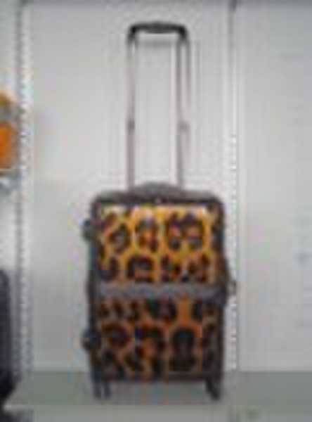 ABS luggage(ABS case, luggage)