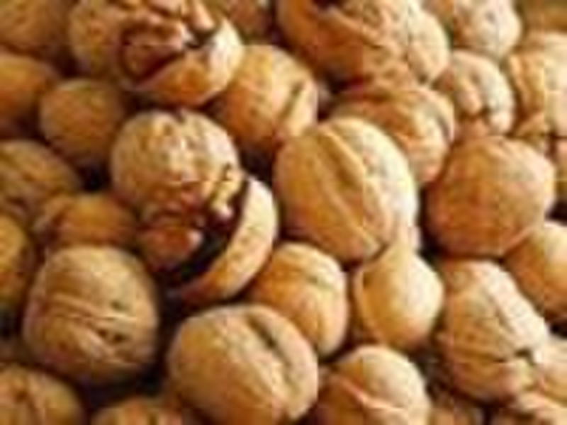 Walnut