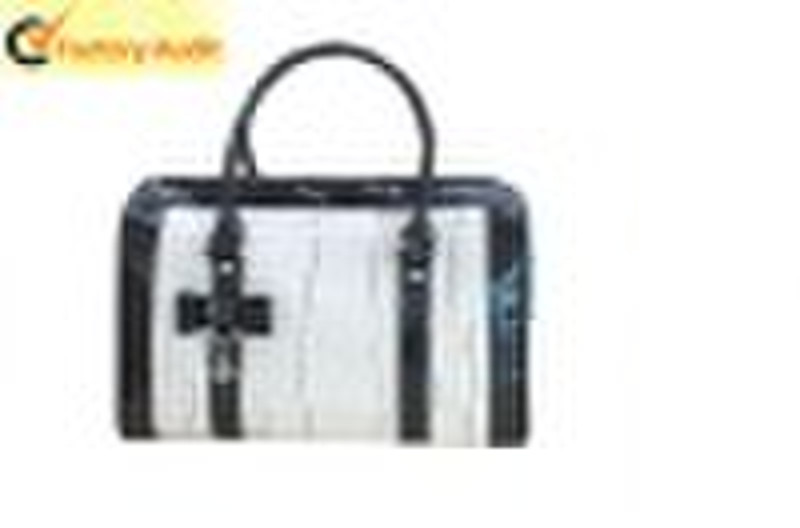 2010 New Entwickelt Handbag