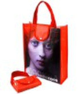 Foldable shopping bag