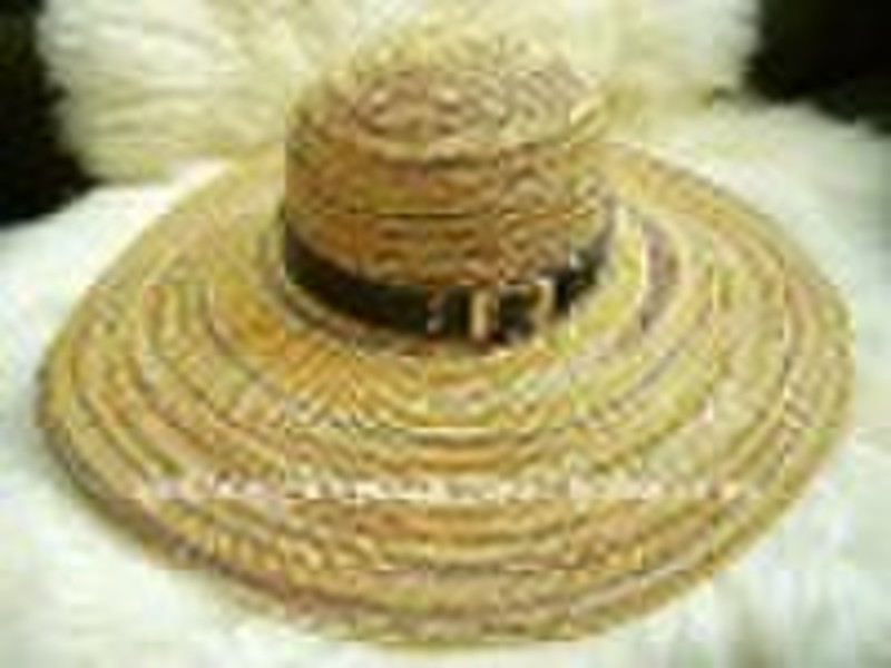 2010 new check pattern straw hat