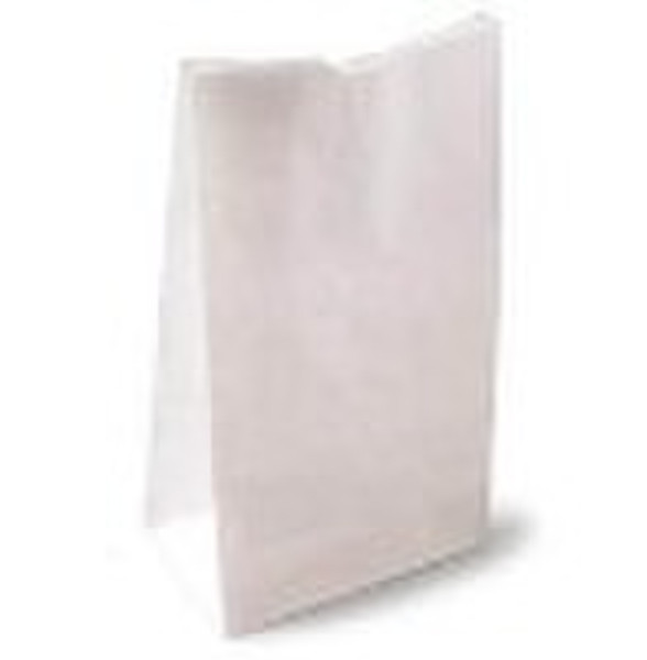 paper lunch bag
