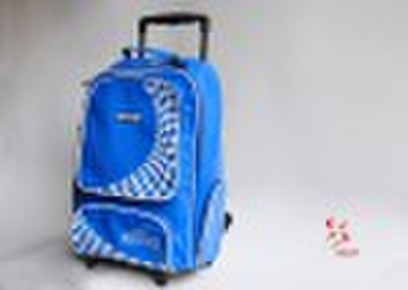 OEM 2010 autumn fair PU school trolley bag series