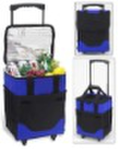 Rolling cooler  bag