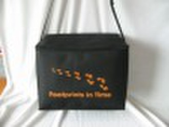 cooler bag  , with the logo