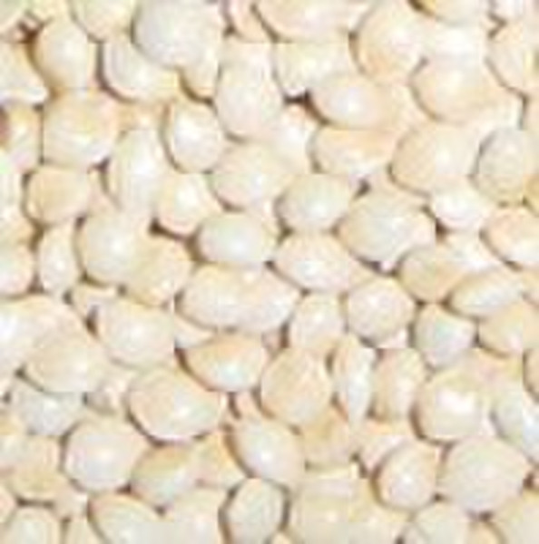 White  Broomcorn Millet