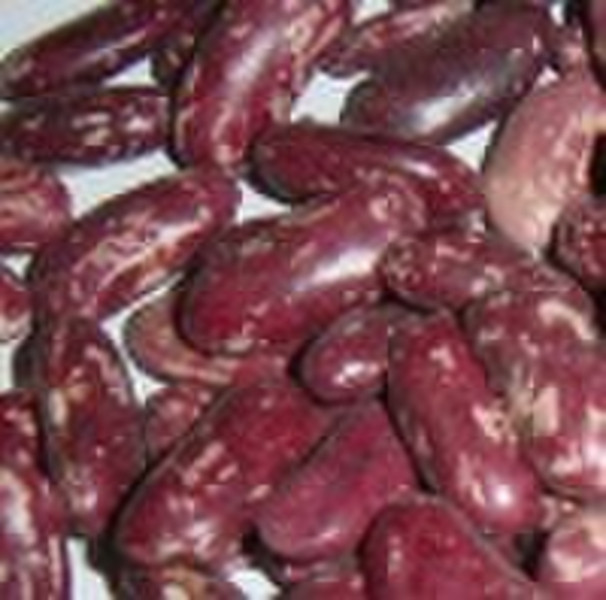 Purple Speckled  Kidney Beans  Long shape
