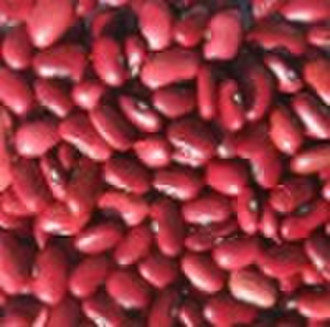 Red Kidney Beans (RKB)