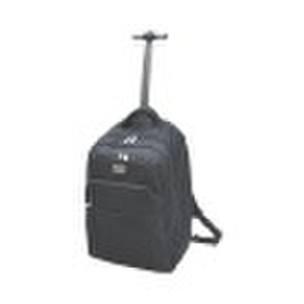 Cooler shoulder bag