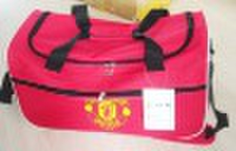 2010 new disign travel  bag