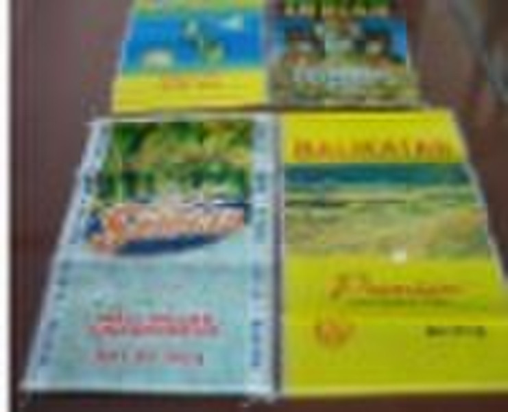 2010 lamination corn bag