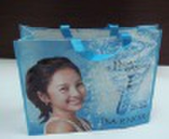 PP Woven Shopping Bag