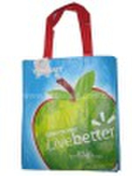 Eco-Friendly pp woven shopping bag