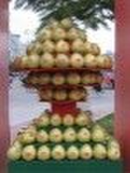 fresh fruits(sweet pomelo)