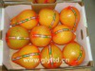 Chinese Honey Pomelo