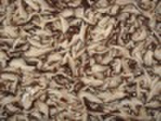 Konserven Shiitake in Salzlake in Scheiben geschnitten